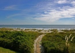 Hilton Head Plantation hilton head activities