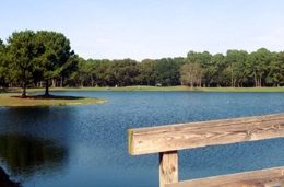 Hilton Head Plantation-89 (3) hilton head activities