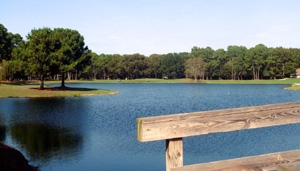 Hilton Head Plantation-89 (3) hilton head activities