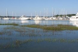 Hilton Head Plantation SC hilton head activities