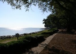 Hilton Head Plantation-89 (9)
