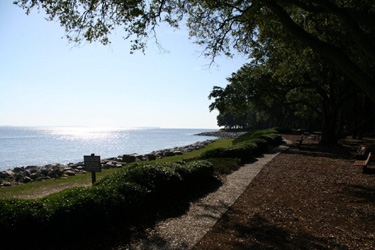 Hilton Head Plantation-89 (9)