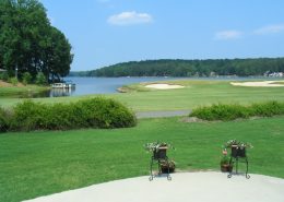 carolina trace carolina trace