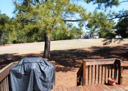 carolinatracelakeview13