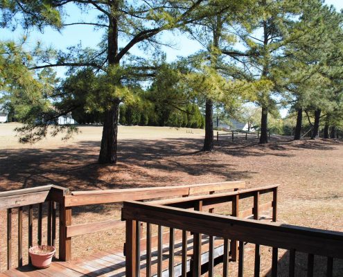 carolinatracelakeview14