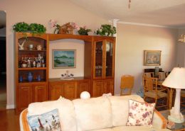 carolinatracelakeview3