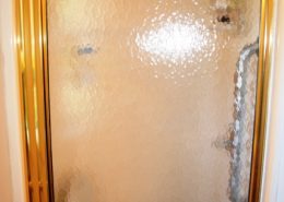 carolinatracelakeview9