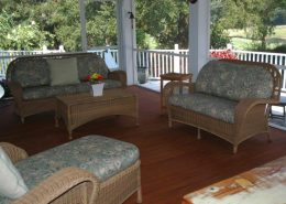 debordieublueheron11