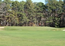 Gooseberry mink meadows mink meadows golf course