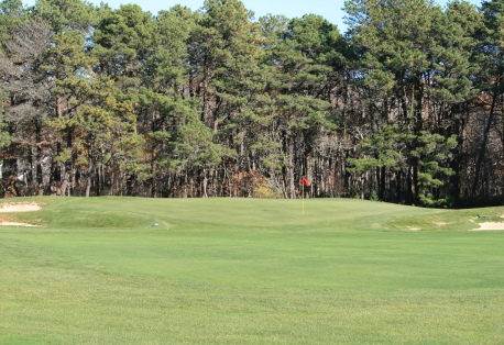 Gooseberry mink meadows mink meadows golf course