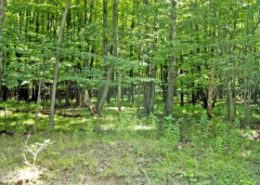 treasure lake pa treasure lake pa