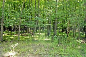 treasure lake pa treasure lake pa