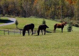 treasure lake pa treasure lake pa