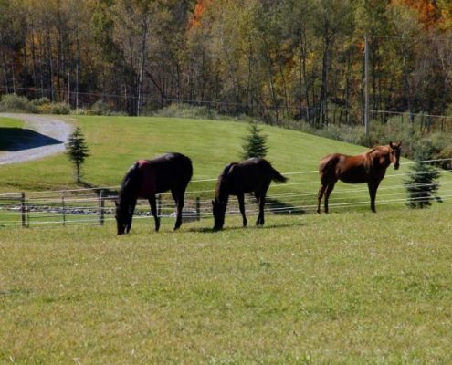 treasure lake pa treasure lake pa