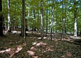 Treasure Lake PA Treasure Lake PA