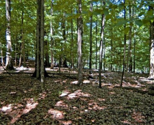 Treasure Lake PA Treasure Lake PA