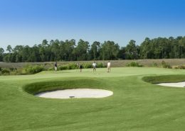 Osprey Cove golf course osprey cove