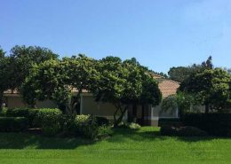 harbour ridge fl 1538 buttonbush circle