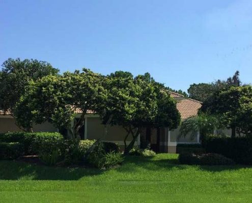 harbour ridge fl 1538 buttonbush circle