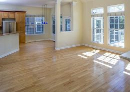 Daniel Island SC charleston sc homes