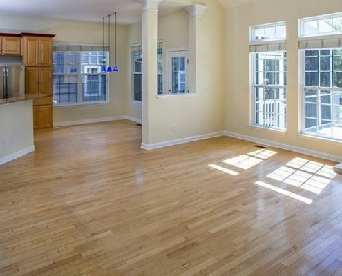 Daniel Island SC charleston sc homes