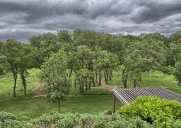 Comanche trace TX comanche trace home