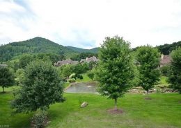 The Cliffs at Walnut Cove NC 5 Chedworth Way