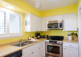 Kiawah Island 464 Vetch Court