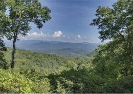 Connestee Falls 172 Tinequa Court