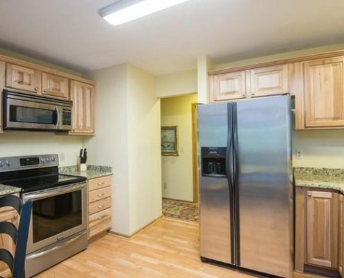 Kiawah Island 290 Ruddy Turnstone