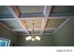 Carolina Colours 4144 Cinnamon Run