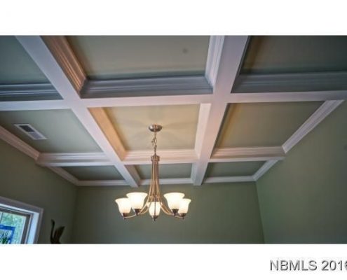 Carolina Colours 4144 Cinnamon Run