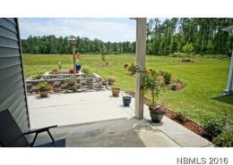 Carolina Colours 4144 Cinnamon Run