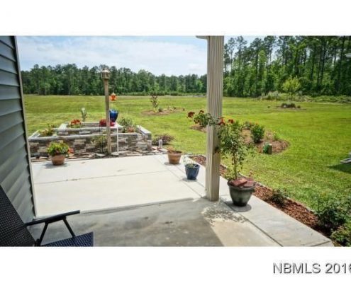 Carolina Colours 4144 Cinnamon Run