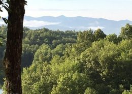 Connestee Falls 564 Cheestoonaya Way