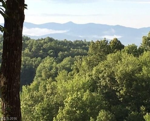 Connestee Falls 564 Cheestoonaya Way