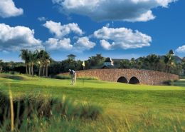 Fiddlers Creek Summerwood