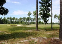 Carolina Colours 3513 Cranberry Lane