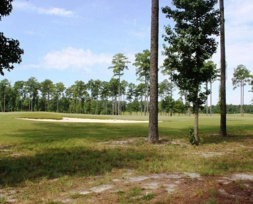 Carolina Colours 3513 Cranberry Lane