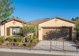 Mountain Falls NV cascata