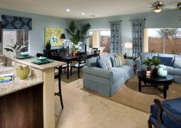 Mountain Falls NV cascata