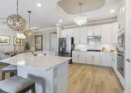 Babcock National FL 15936 Leaning Pine Lane