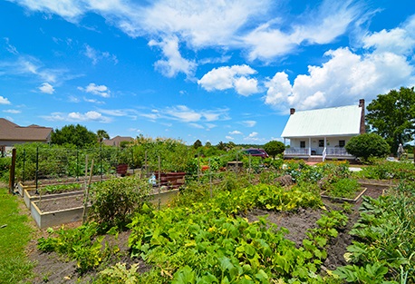 Ocean Ridge Plantation NC