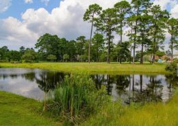 6590 Willowbank Place