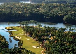 Savannah Lakes Village monster