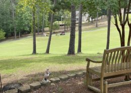 SLV GOLF VIEW 310 Divot Court