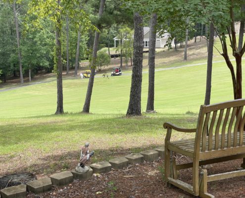 SLV GOLF VIEW 310 Divot Court