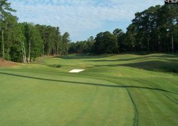 woodside golf view 323 True Cedar Way