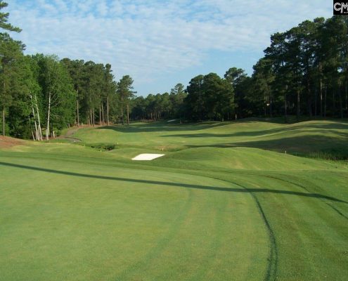 woodside golf view 323 True Cedar Way