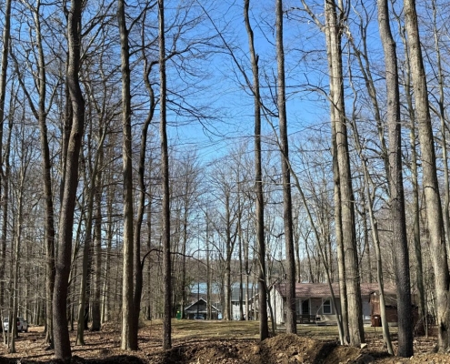 11478 Treasure Lake Road